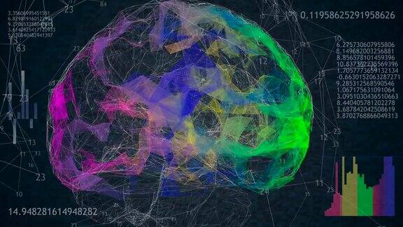 旋转360低多边形大脑3D模型的黑色背景动画数字和图表4k的动画