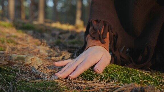 女人的手轻轻地抚摸着森林里地上的青苔