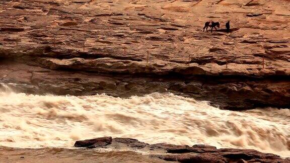 老汉牵着驴在黄河边散步