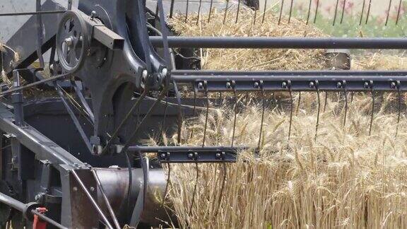 联合收割机正在收割小麦