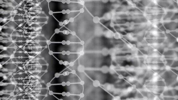 DNA散景循环