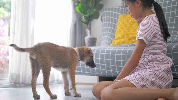 亚洲女孩玩棕色小狗狗在地板上的家