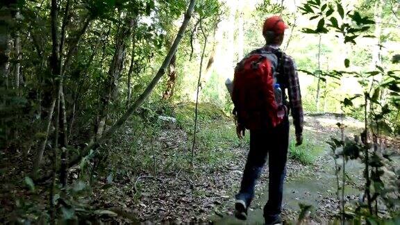 在森林里背着背包的资深徒步旅行者