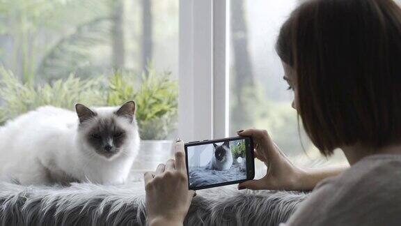 快乐的女人在给她的猫拍照