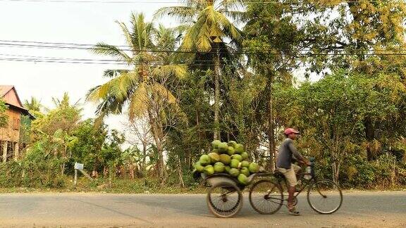 卖椰子的人骑着一堆椰子