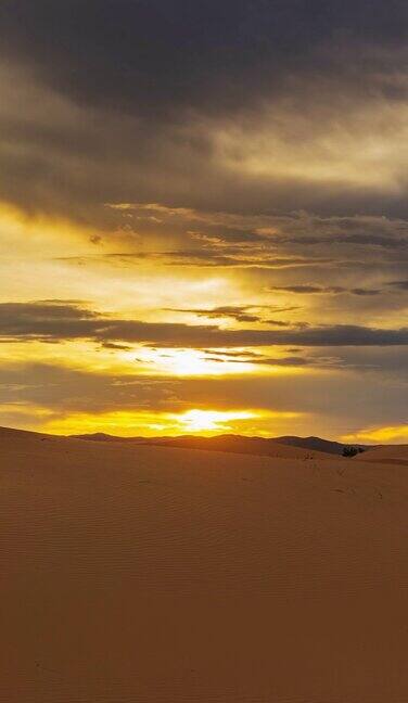 美丽的风景在沙漠日落时间流逝