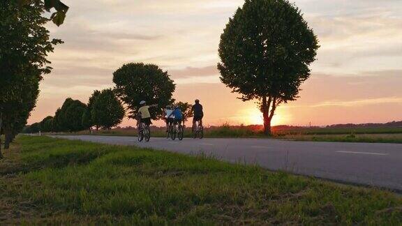 日落时分一个家庭带着三个孩子在绿树成荫的乡间小路上骑单车