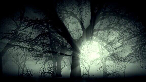 迷雾中的黑暗森林