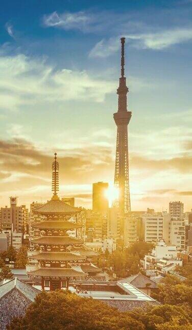 日出的东京城市景观在黎明日本