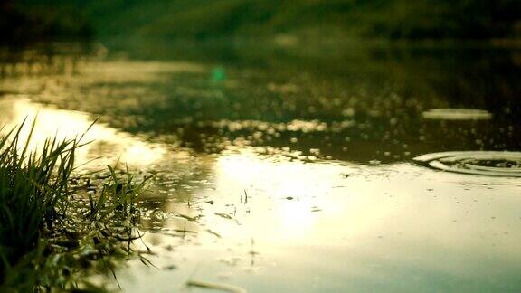 它雨天