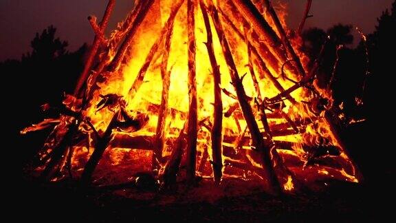 森林里的篝火在夜晚燃烧慢动作180帧秒