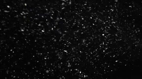 暴风雨的天气下雪大的雪花与风孤立在黑色的背景真实的镜头光晕很容易使用混合叠加模式