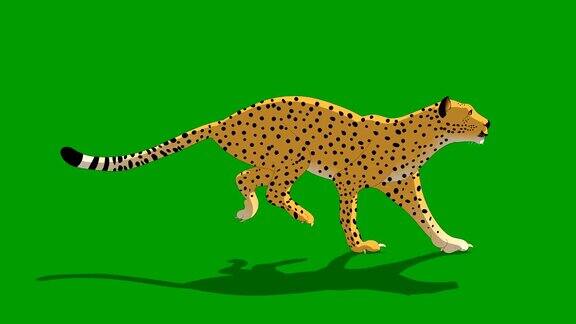 猎豹动物奔跑循环动画