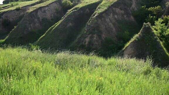 绿草如茵映衬着高山