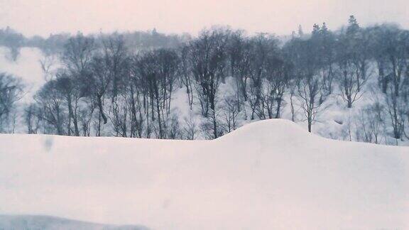 美丽的冬季风景与飘落的雪花