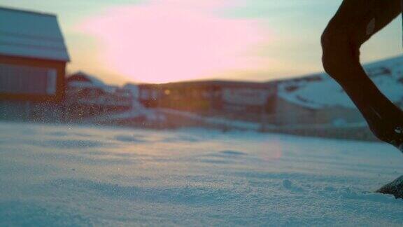 慢镜头:冬日日出时一匹棕色的马走过厚厚的积雪