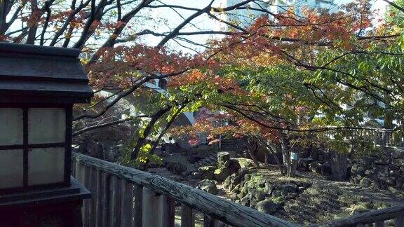 东京北区王子镇公园里的秋叶景色