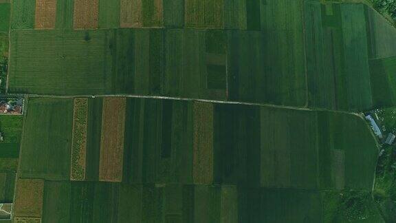 无人机扫描农场从上方分析绿色的农田和成排的作物