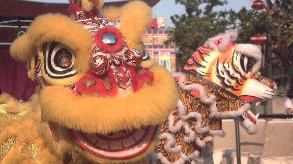 中国雄狮表演农历新年庆典