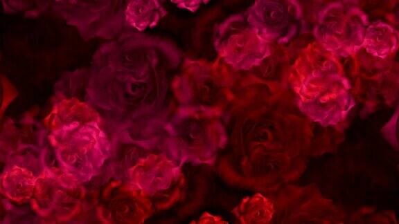 红玫瑰花蕾在婚礼录像的背景