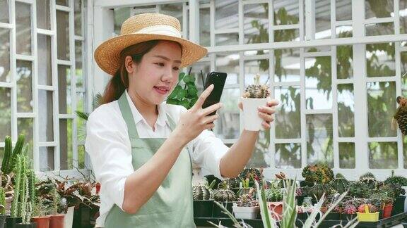年轻的亚洲女性中小企业企业家拍下她的仙人掌在电子商务平台上出售