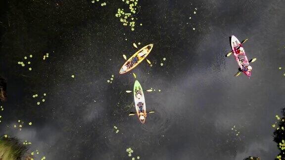 鸟瞰图的独木舟巡航通过河流和热带森林绿色的风景