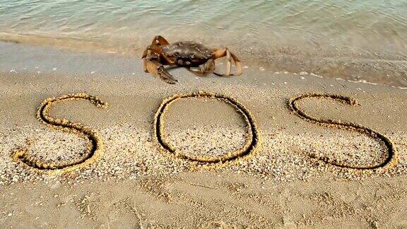 螃蟹和沙滩上的铭文