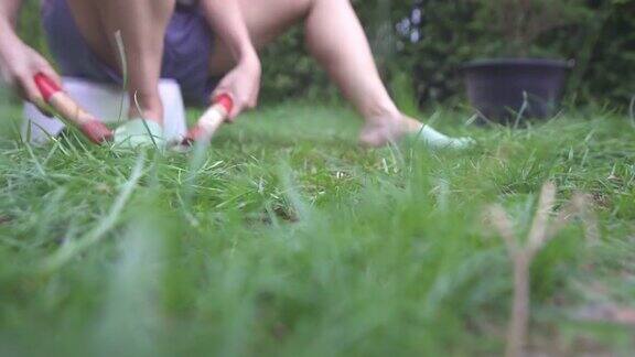 一位妇女在前院用花园剪刀修剪草坪