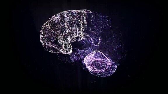 全息的大脑发光粒子与数据流