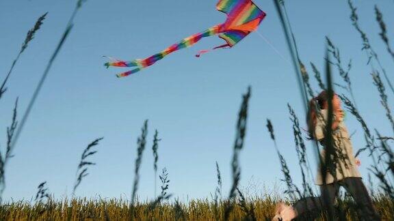 女孩在田野里玩风筝