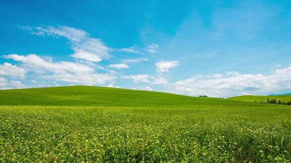 8K云景在美丽的绿色草地