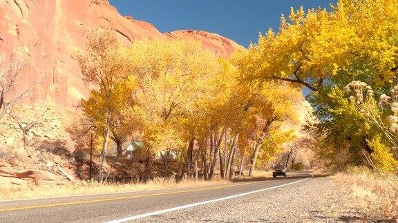 黑色的越野车穿过秋天的黄树隧道在红色的岩石峡谷