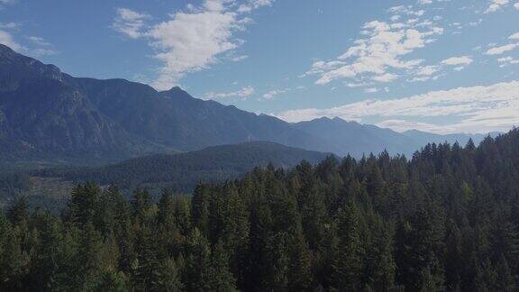 无人机拍摄的群山覆盖着绿色的云杉林蓝天白云