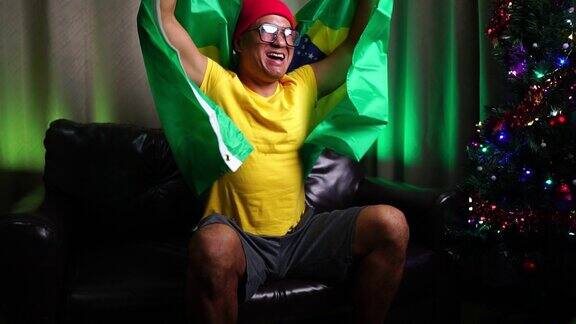 快乐的巴西球迷在世界杯足球赛中庆祝