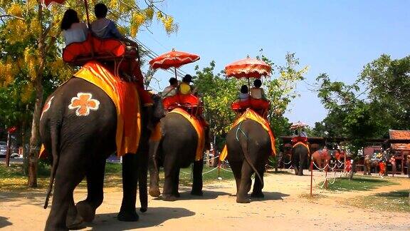 身份不明的游客骑在大象上