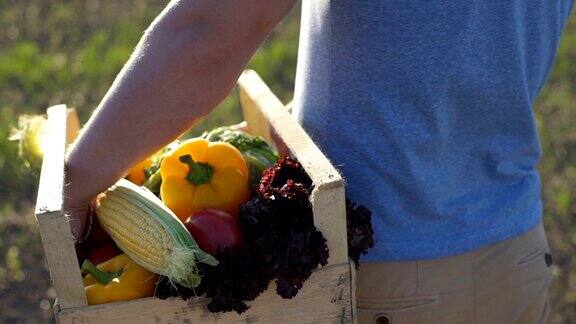 农夫拿着一盒有机蔬菜