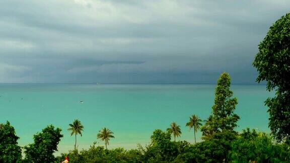 天堂岛异国情调的海滩热带植物在雨前随风摇摆