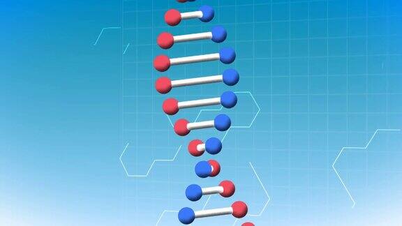 数字动画的dna结构旋转对六角形的蓝色背景