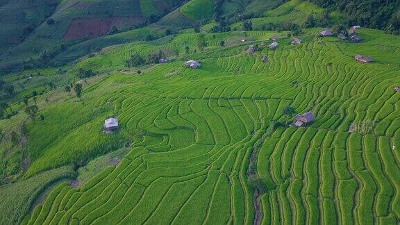 PaPongPieng的梯田