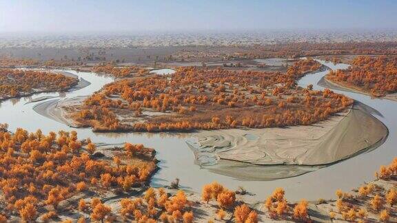 新疆秋景鸟瞰图