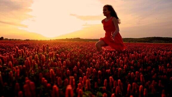 SLOMO女孩跑在深红色三叶草的田野