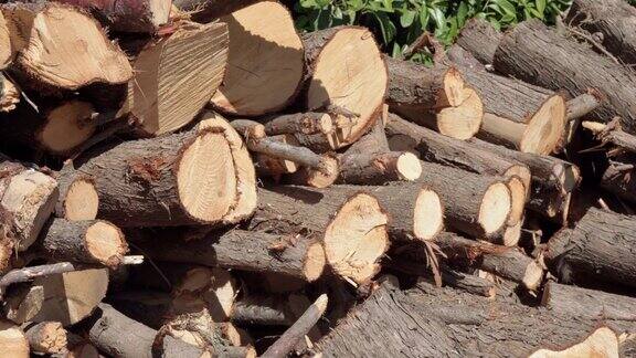 在锯木厂用链锯锯下来的一堆圆木晒在地上的干木头准备出售的树干伐木业和砍伐森林