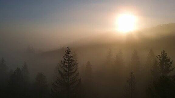 太阳从高山森林的浓雾中出来