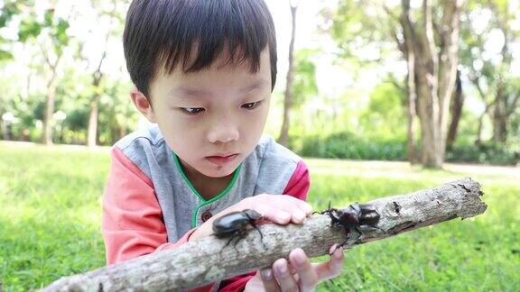 孩子有一只甲虫