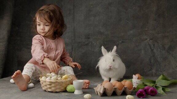 小女孩抚摸着可爱的小白兔小女孩和小兔子一起玩复活节兔子用五彩缤纷的复活节兔子蛋漂亮的复活节兔子用兔子作为复活节节日复活节兔子复活节
