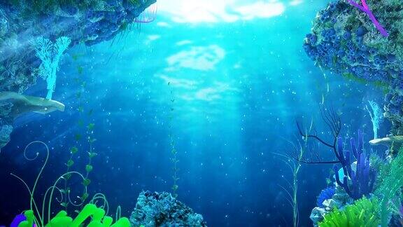 水下风景与珊瑚礁