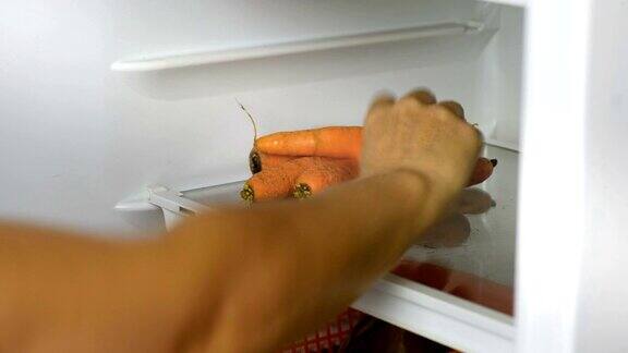 蔬菜冰箱女性用手打开冰箱取胡萝卜蔬菜