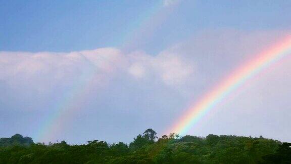 雨林上空的彩虹