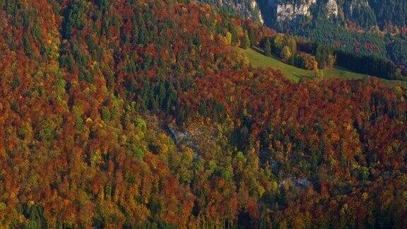 瑞士格鲁耶尔斯阿尔卑斯山脉的秋季森林风景优美