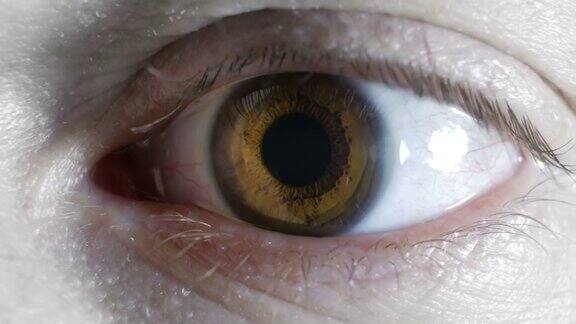 人的眼睛的极端近景眼球乱转经常眨眼人眼的结构